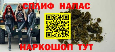 мдпв Обь
