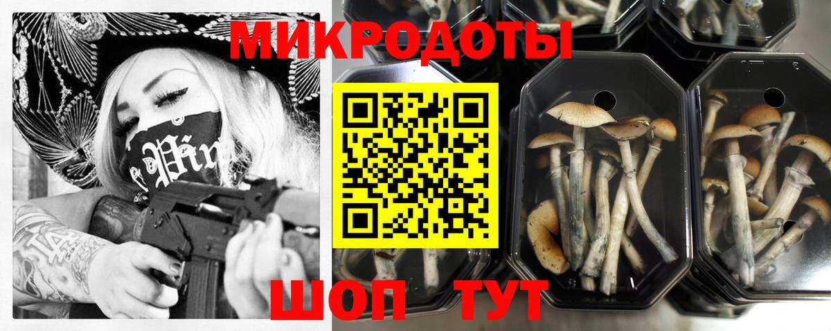 Галлюциногенные грибы Psilocybine cubensis Саратов
