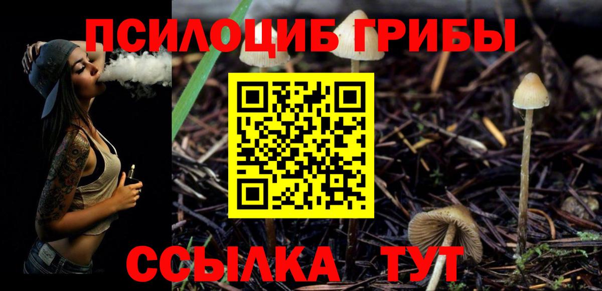 Саратов  Галлюциногенные грибы Psilocybine cubensis  Вход с VPN  Псилоцибиновые грибы мухоморы 